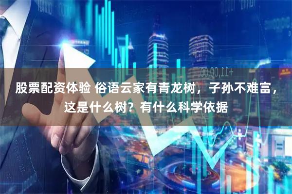 股票配资体验 俗语云家有青龙树，子孙不难富，这是什么树？有什么科学依据